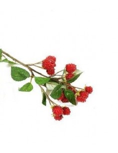 Pick lamponi 40 cm 2