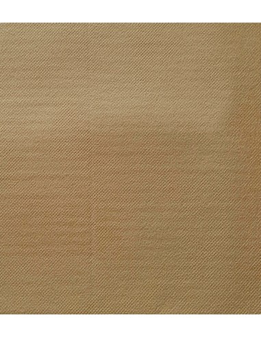 Tovaglia tnt 100X100 25pz - colori vari