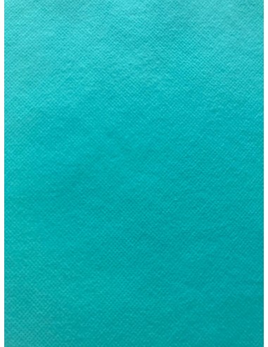 Tovaglia tnt 100X100 25pz - colori vari
